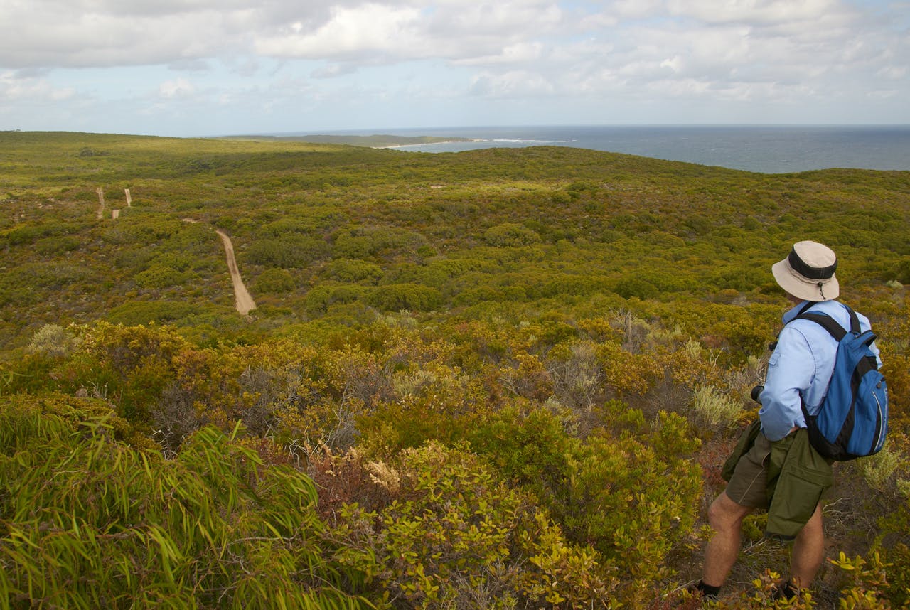 Our reward for climbing 350 steps up from Boodjidup Brook on day 3 is a view of sea and shore and a handful of houses nestled in the crowning heath. Photo: Melanie Ball