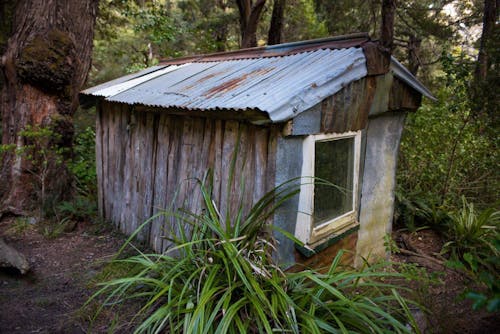 Historic Barratts Hut, located in the headwaters of the Hapuku River. Photo: Pat Barrett