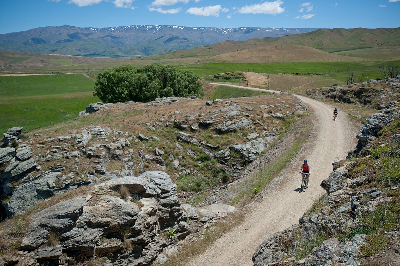 The Otago Central Rail Trail is the flagship cycle trail. Photo: Trail Journeys