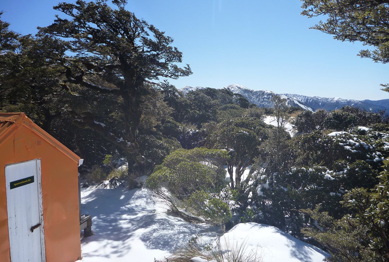 The Ruahines receive heavy snow and strong winds which can damage huts and bring down trees on to tracks. Trampers say DOC’s cutbacks to the region amount to neglect Photo: Julia Mackie