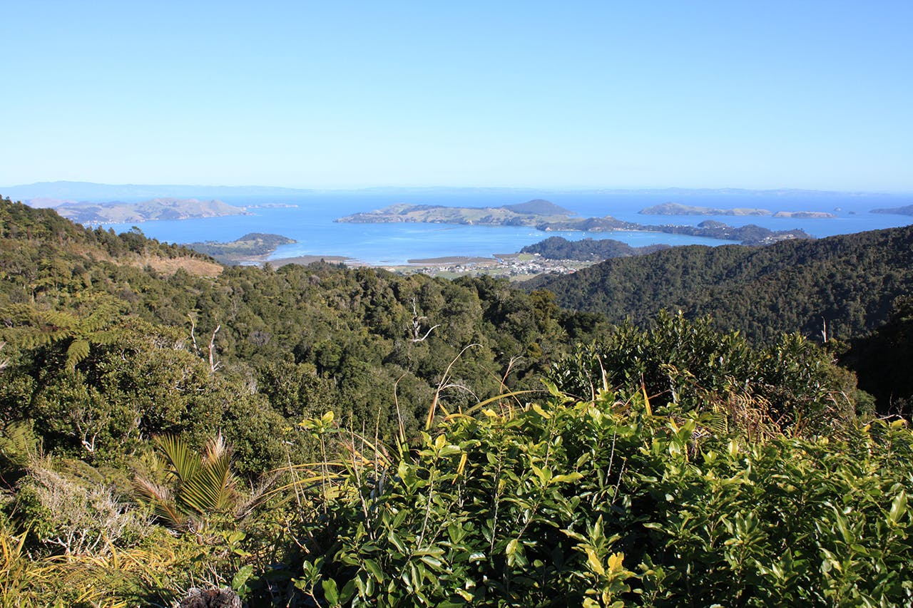 Tranquil Coromandel Harbour from Lucas Lookout. Photo: Paul Rush