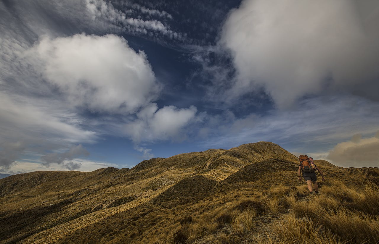 The new Great Walk will utilise the existing benched track and extend this track, in a similar style right through to Punakaiki. Photo: Neil Silverwood