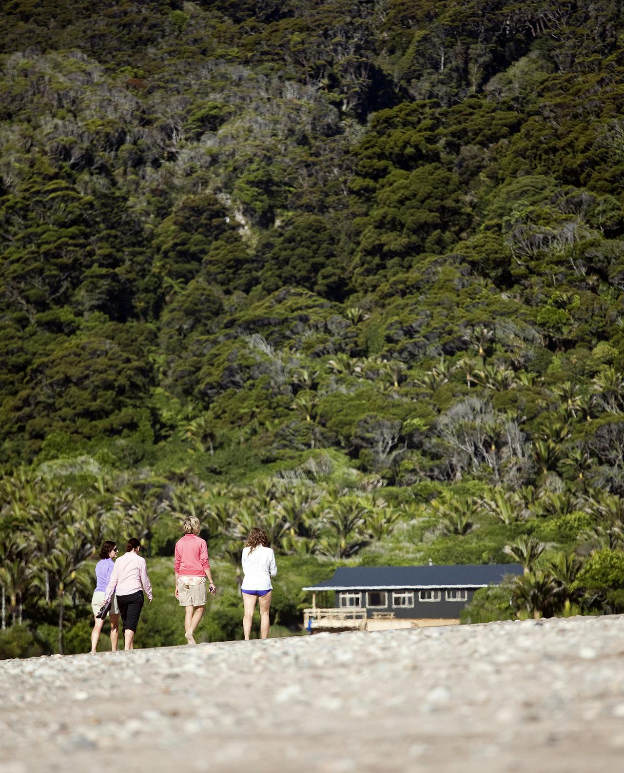 Rush hour on the wonderfully wild Heaphy Beach. Photo: Ray Salisbury