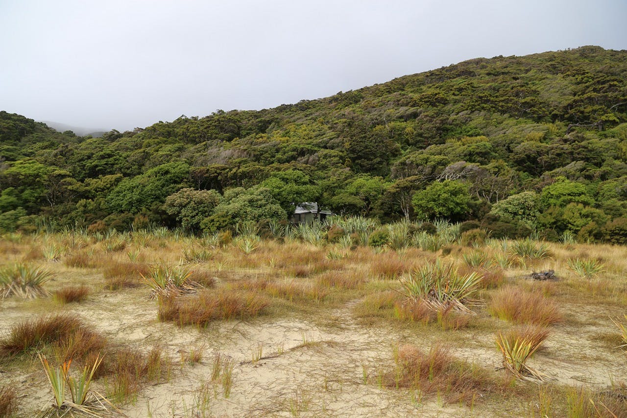 Doughboy Bay Hut is the southernmost DOC hut in New Zealand. Photo: Alistair Hall