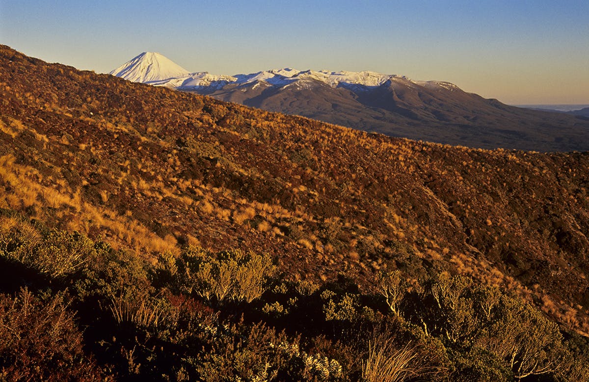 The mountains of the Central Plateau can be viewed from Urchin. Photo: Shaun Barnett/Black Robin Photography