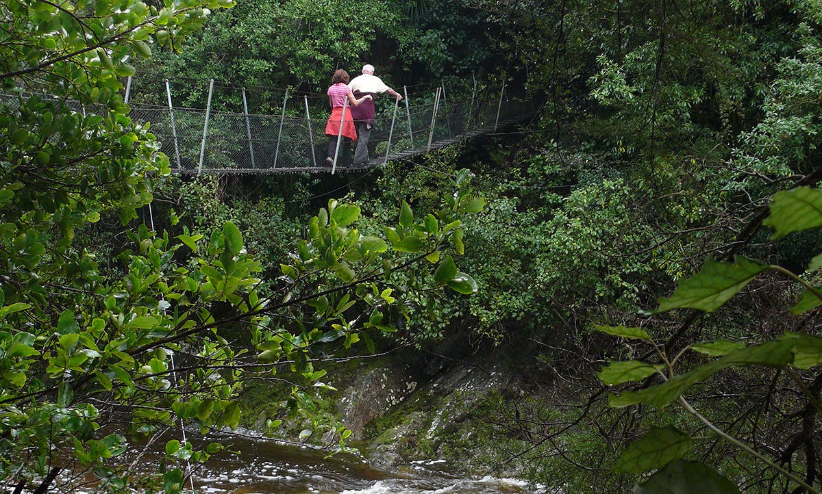 Swingbridge on the track to Wainui Falls. Photo: Geoff Spearpoint