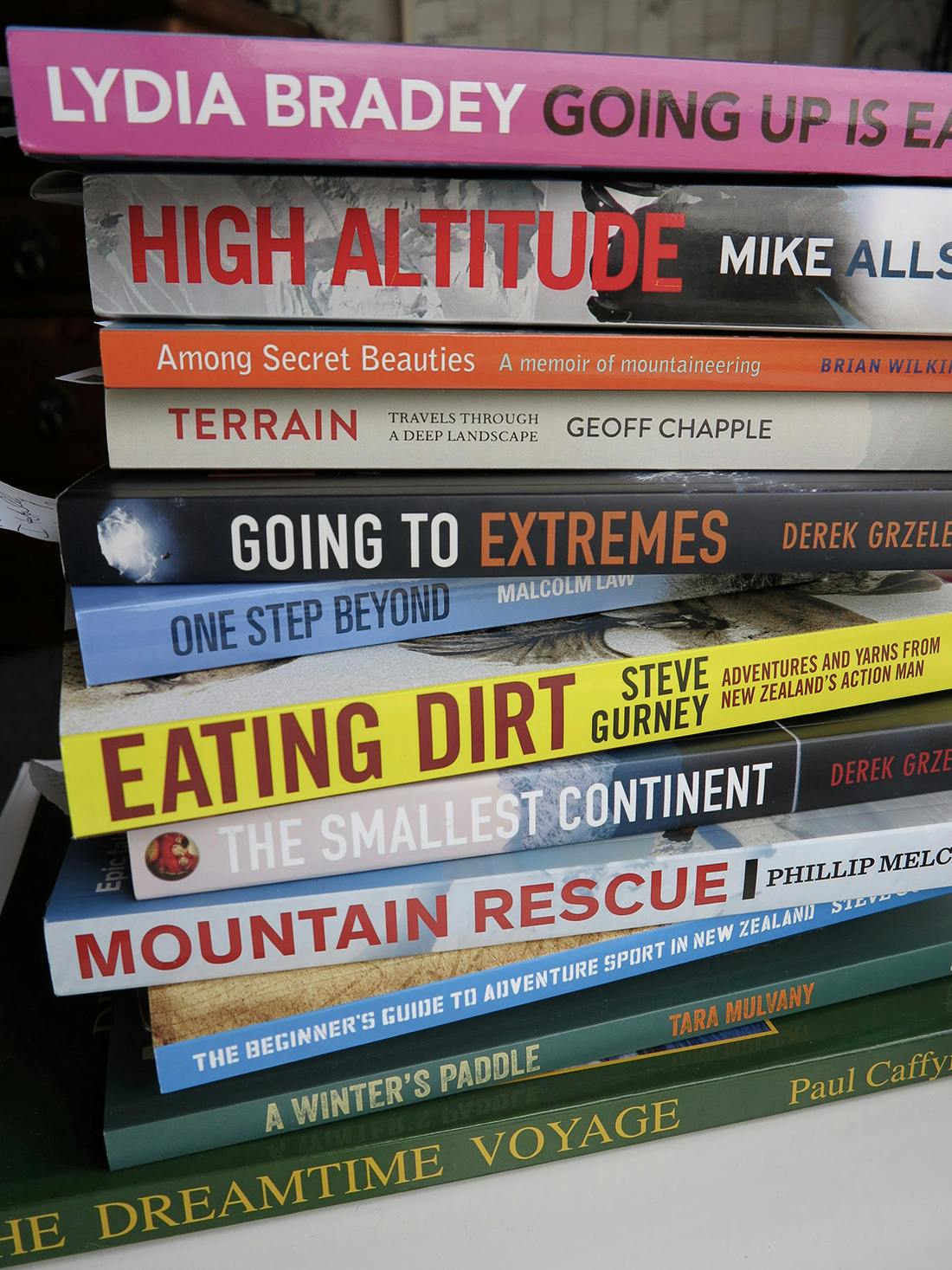 Entires have opened for the 2017 Mountain Book Festival