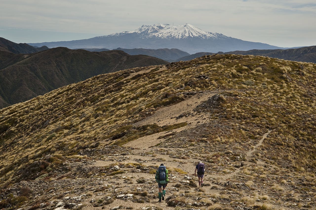 Trampers descend from Junction Top with Ruapehu in the distance. Photo: Shaun Barnett/Black Robin Photography
