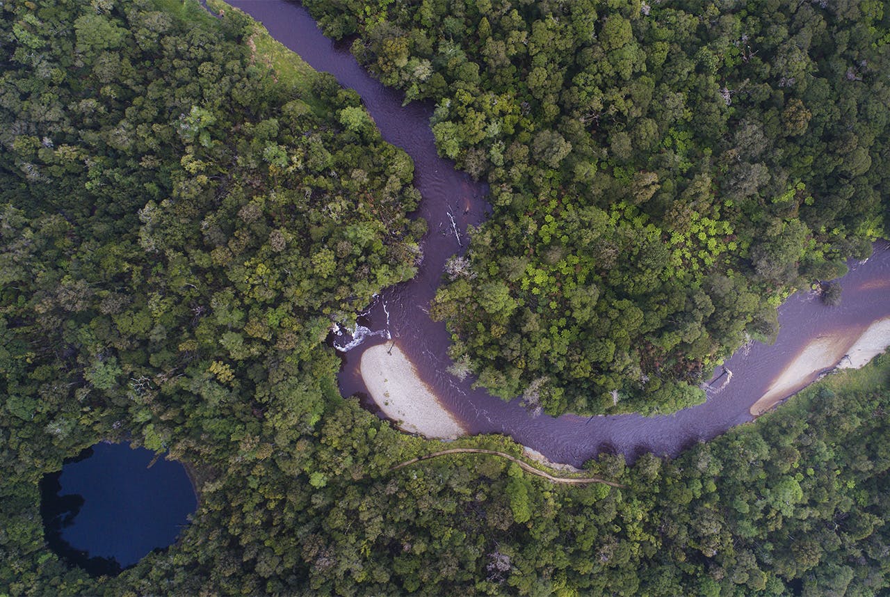 Dense bush makes it hard to be seen from the air – move to river flats or an opening where you might be spotted. Photo: Neil Silverwood