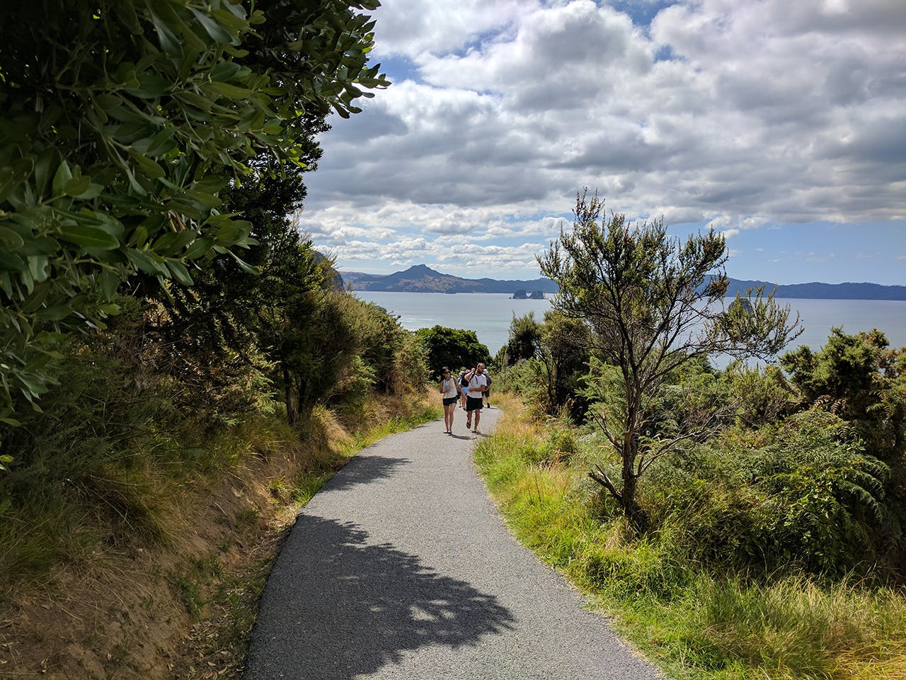 The track to Cathedral Cove has been paved to deal with the estimated 500,000 visitors who walk it each year. Photo: Bill Stead