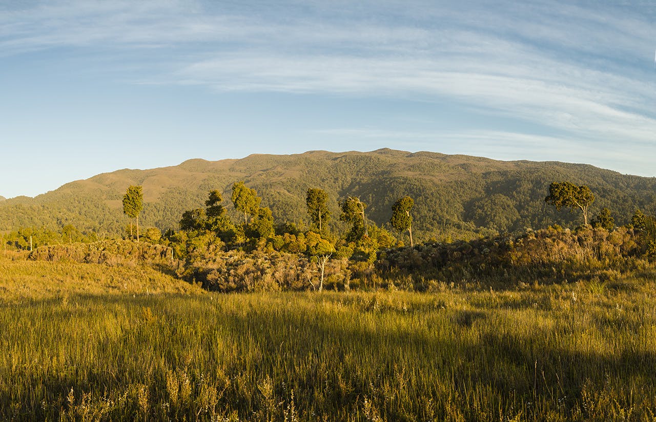 Ruahine Forest Park would lose 22ha of conservation land if the swap goes through. Photo: Neil Silverwood