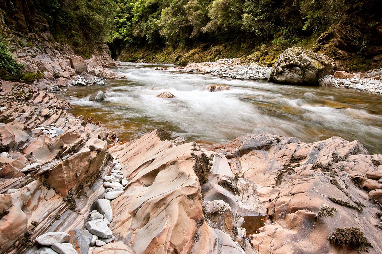 The Wangapeka River is a prime brown trout fishing spot. Photo: Shaun Barnett/Black Robin Photography