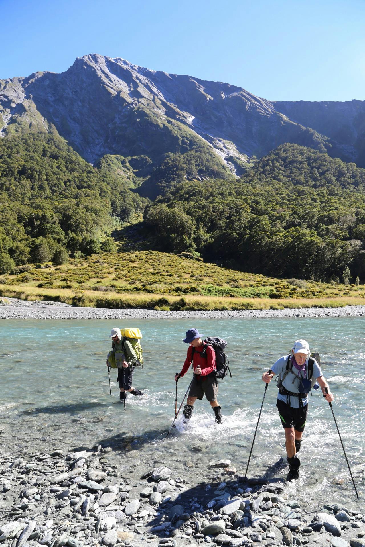 Standing The Test Of Time Wilderness Magazine