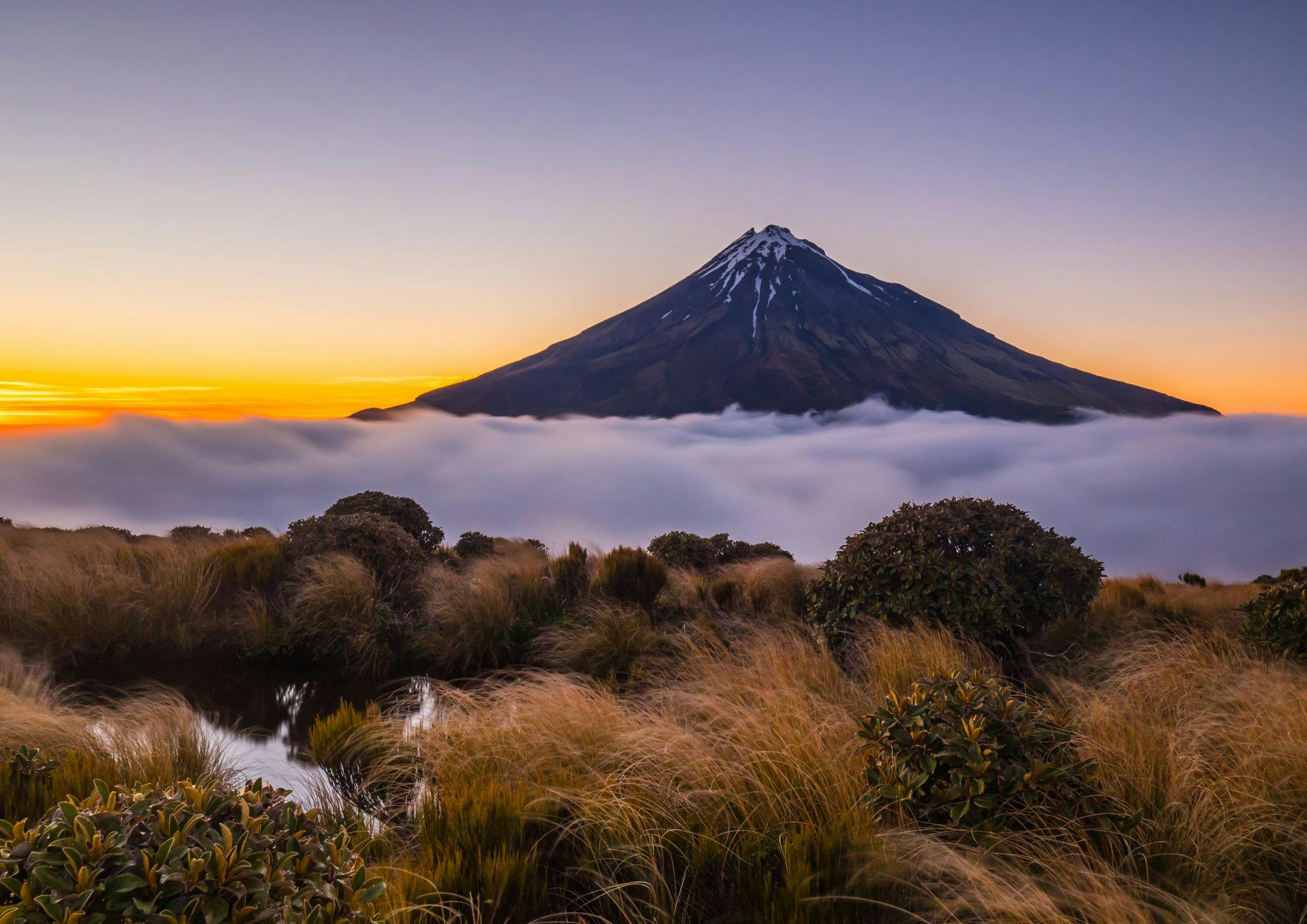 New era for Egmont National Park - Wilderness Magazine