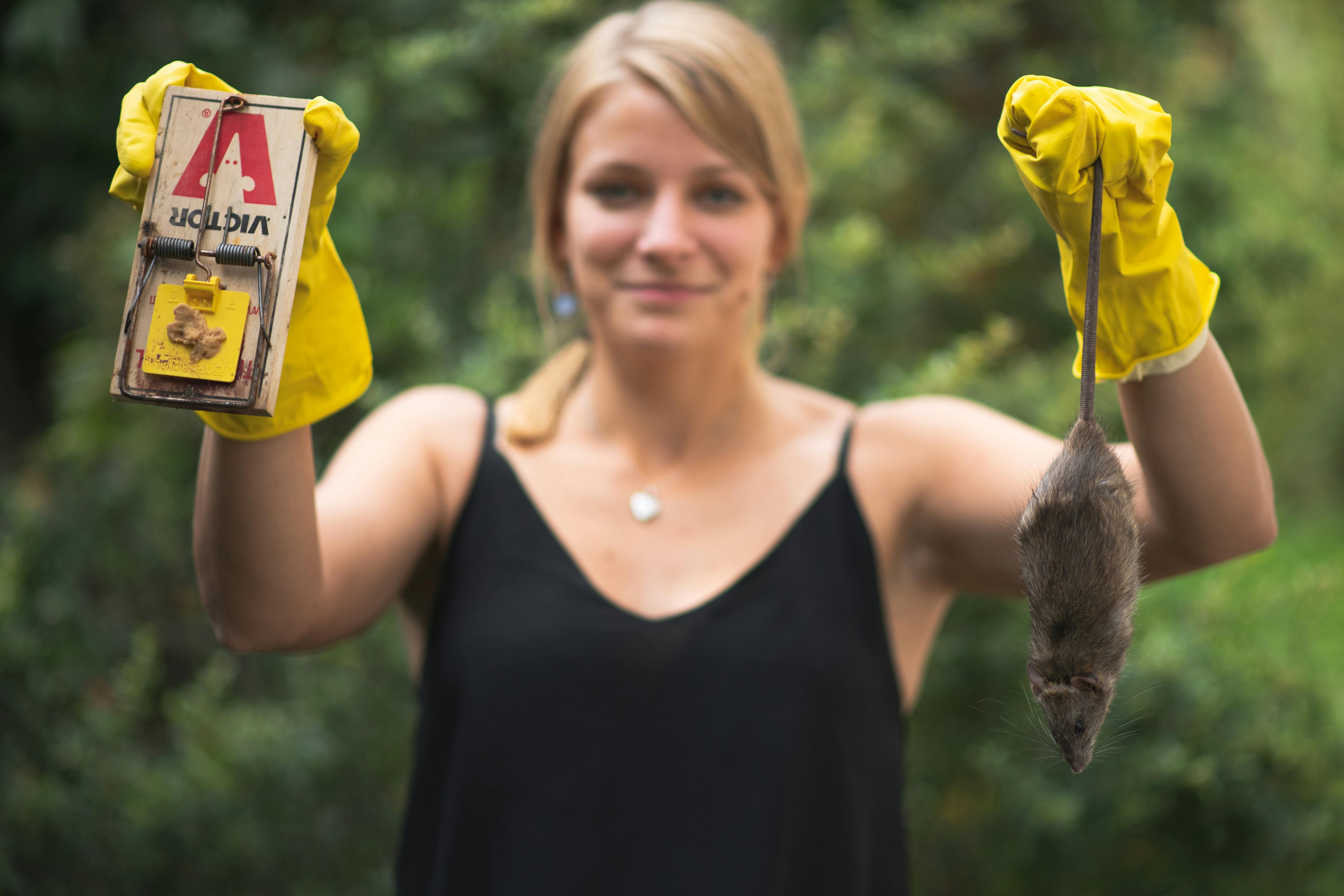 Troubleshooting tips: What to do when your rat trap isn't catching any rats  - Predator Free NZ Trust