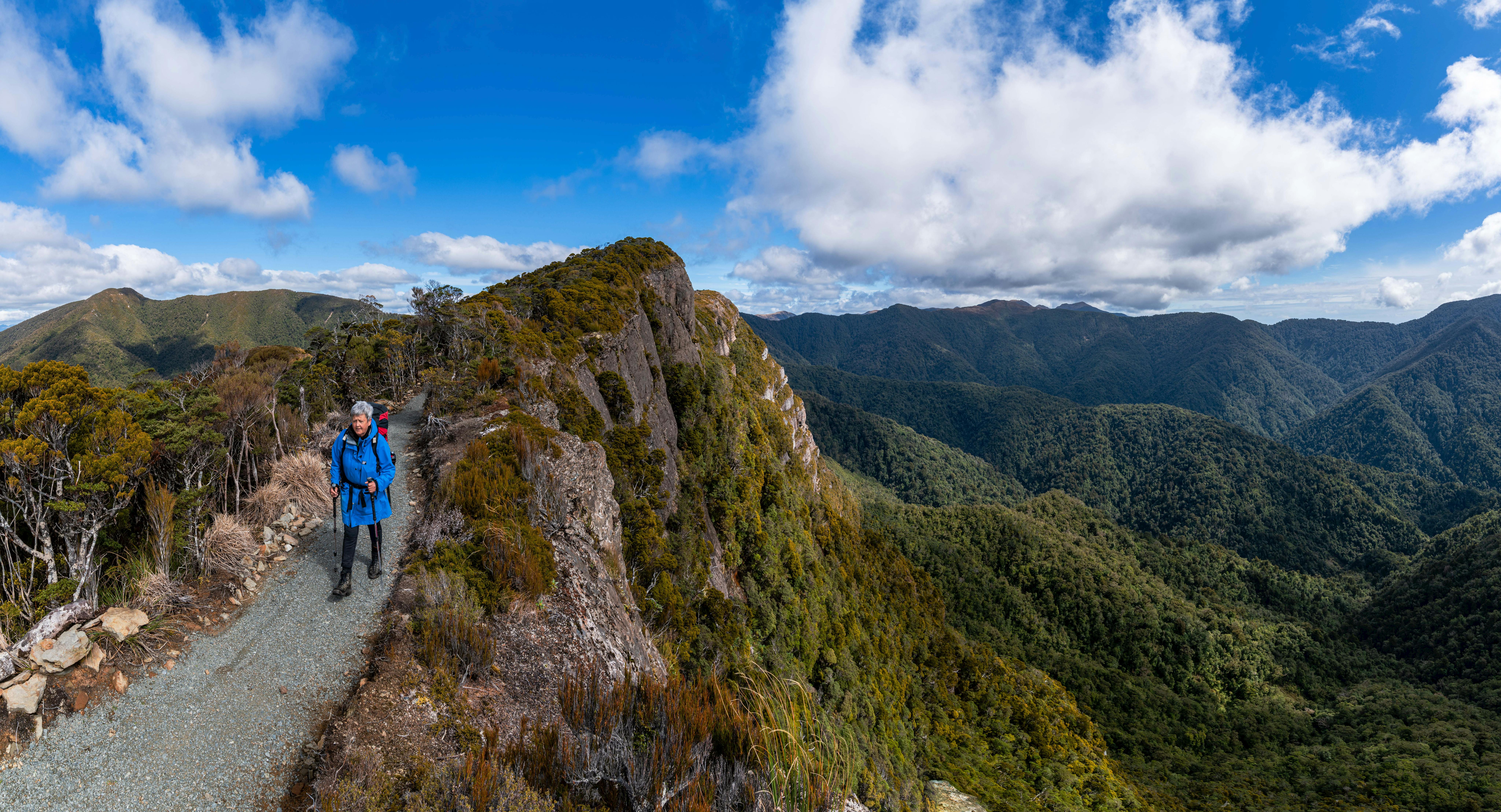 How does the Paparoa Track stack up? - Wilderness Magazine
