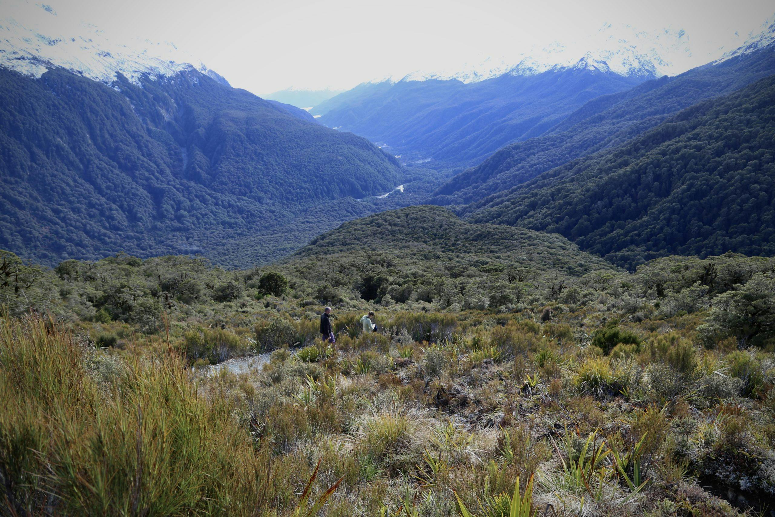 Hollyford Track reopens, but many streams remain unbridged ...