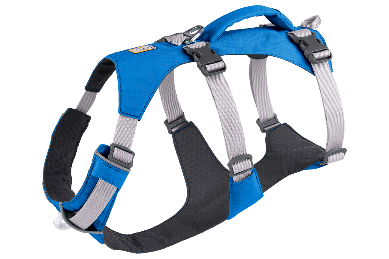 Adventure gear for adventure dogs Wilderness Magazine