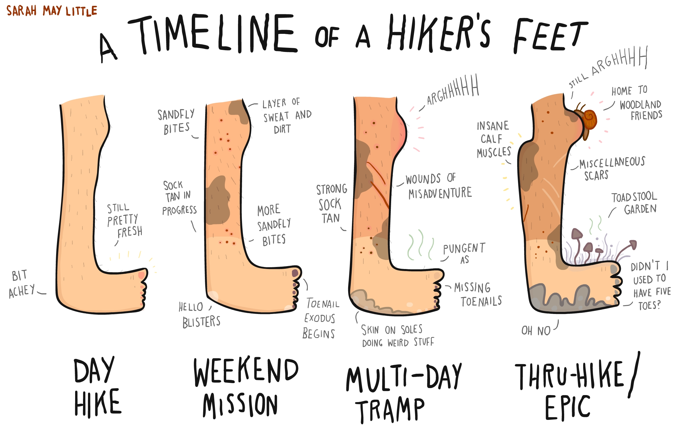 hiker toe